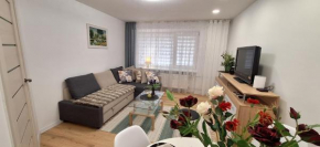 Šiauliai Central Vytauto Apartment